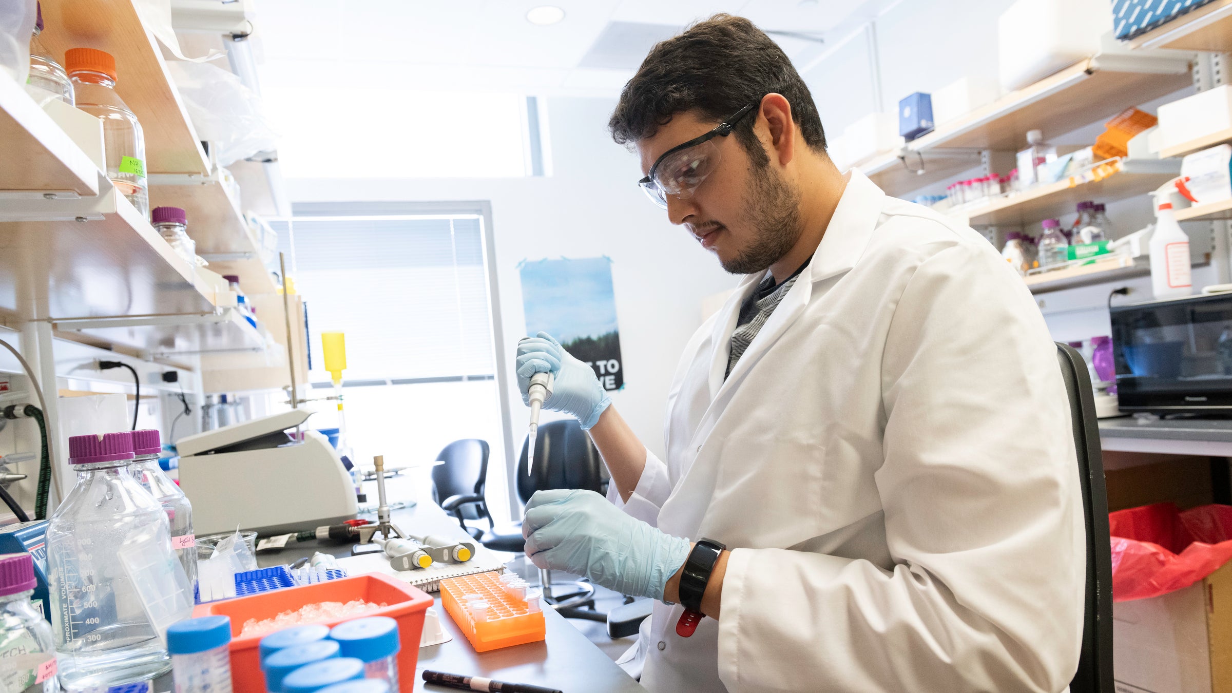 A researcher in lab coat, goggles and gloves pipettes in a web lab