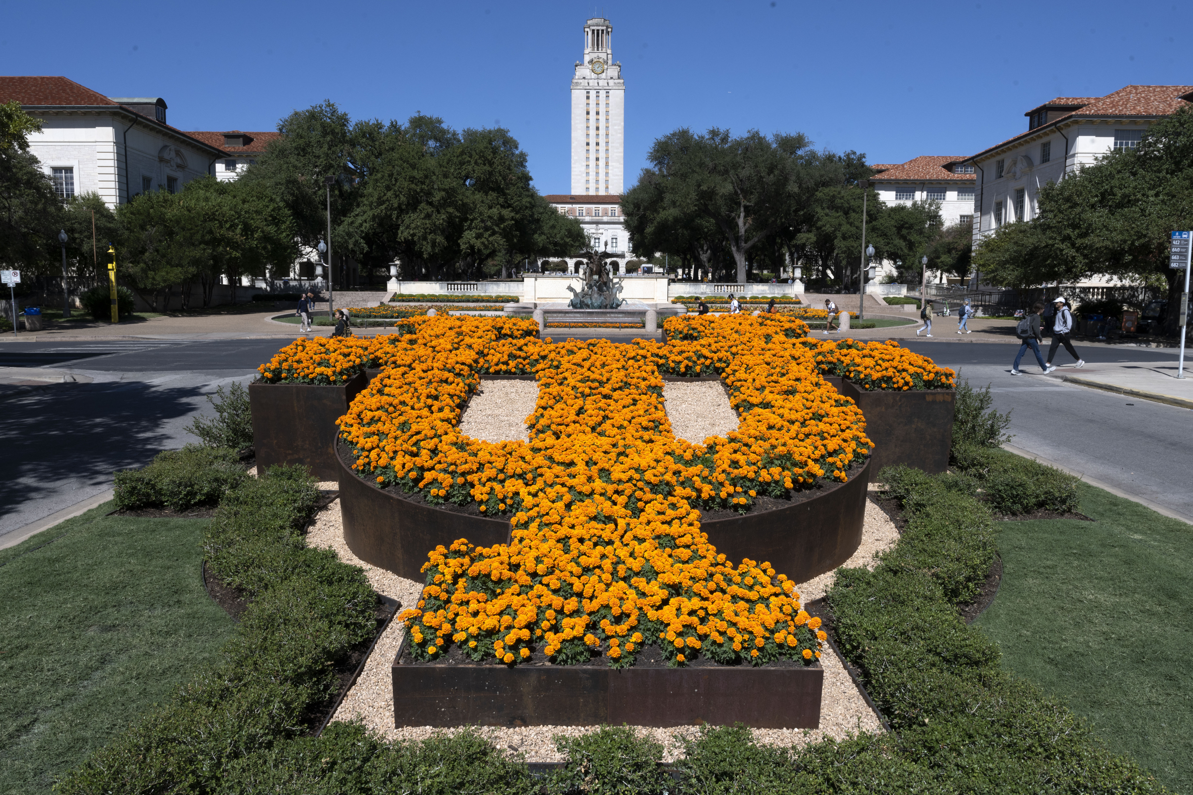 The UT Tower is in the background and in the foreground flowers spell U T in a garden