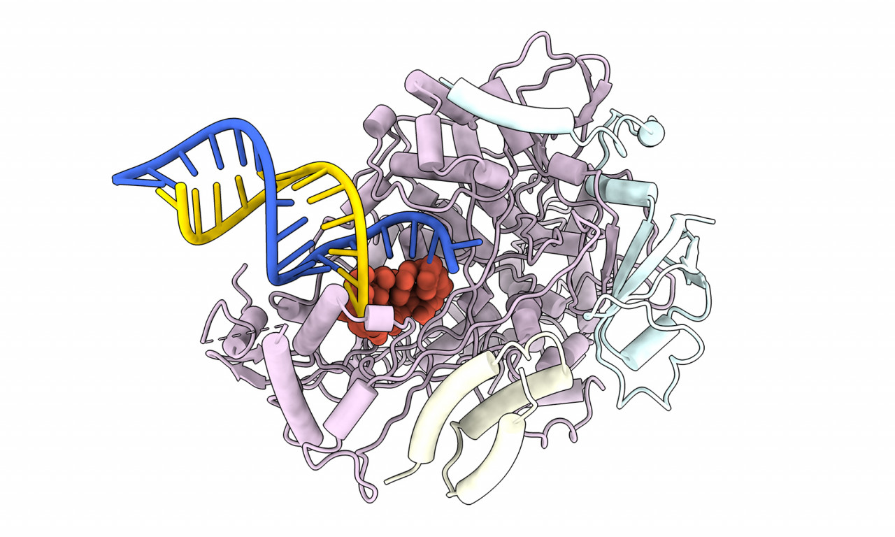 computer image of RNA manipulation