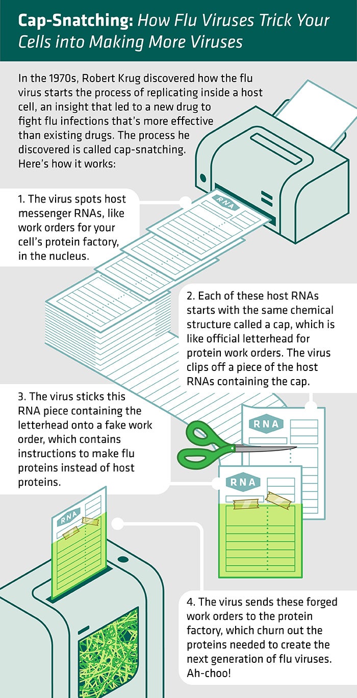 Infographic showing how flu viruses trick your cells into making more viruses