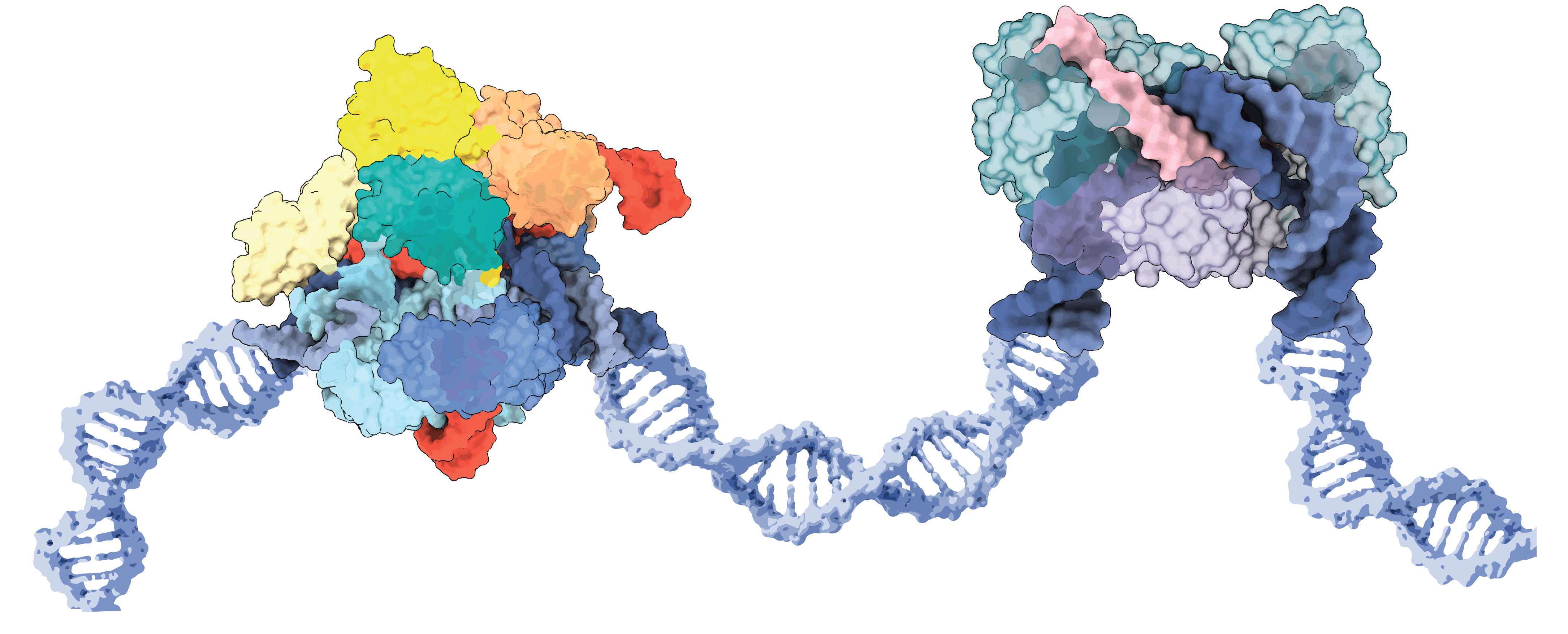 science image