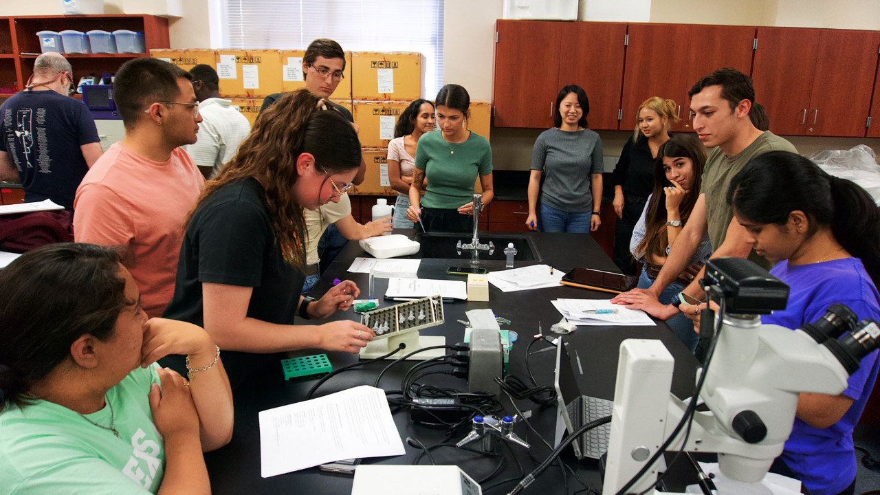 A dozen students at a lab bench learning about developmental biology