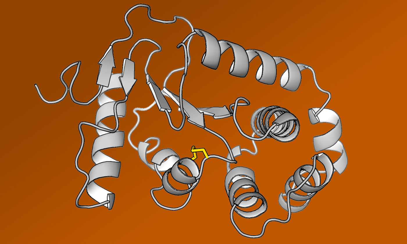 Crystal structure of DsbA protein from E. coli.