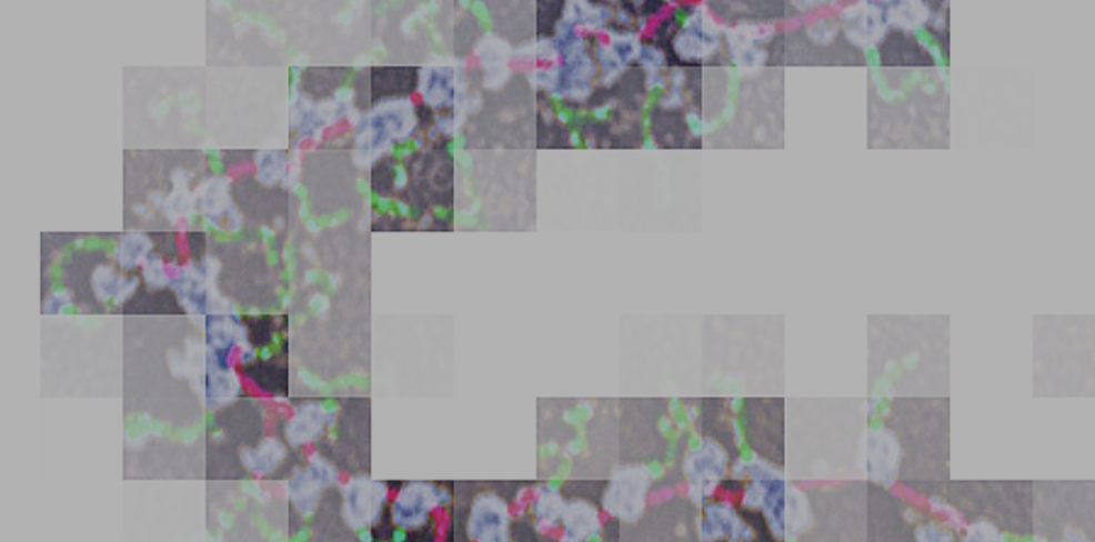 Science image