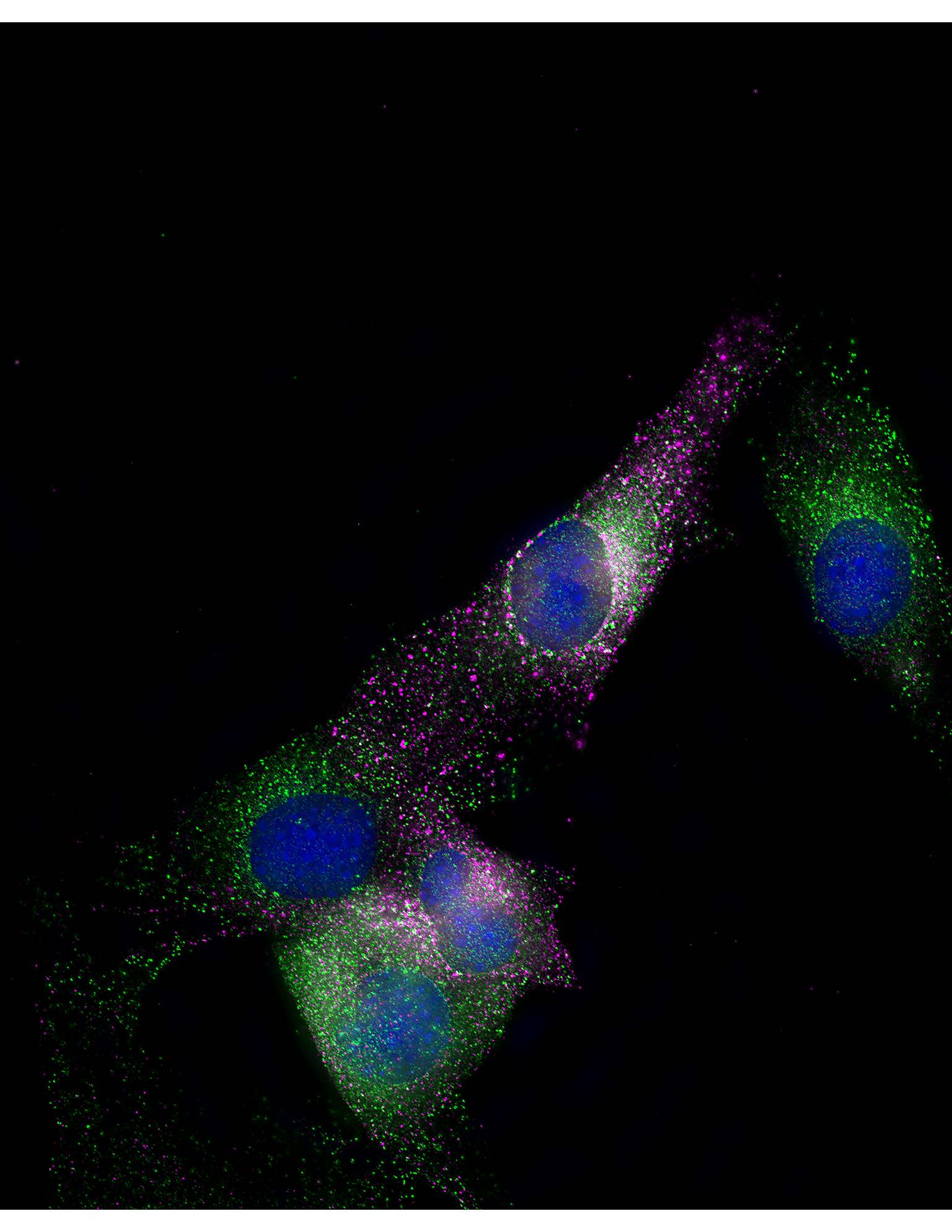 Science image