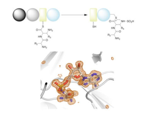 Science image