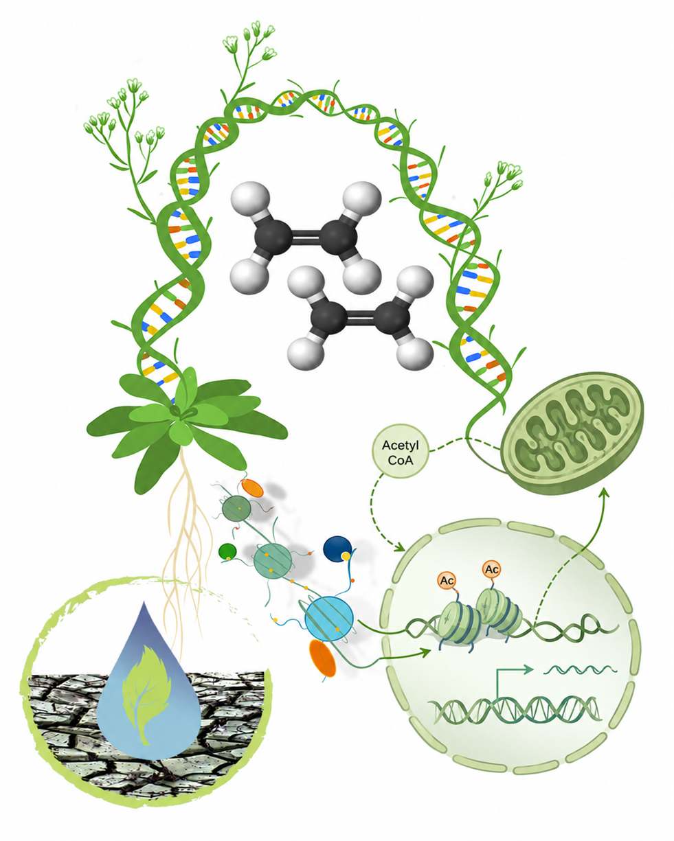 Science Image