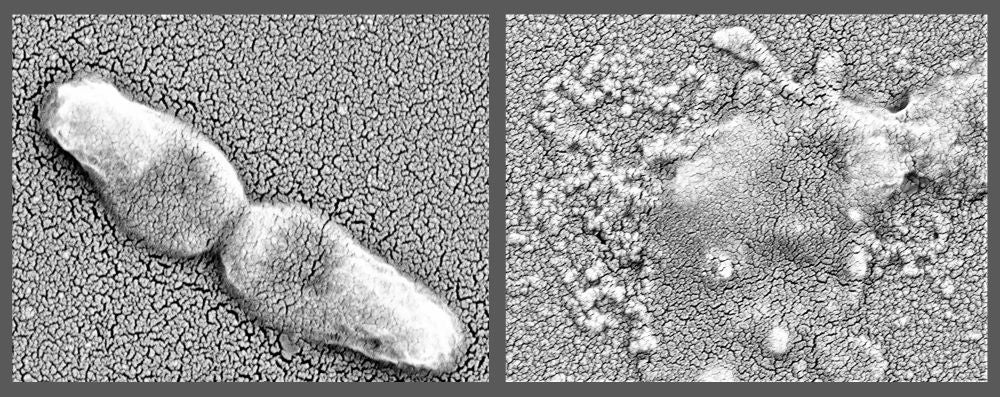 Science image