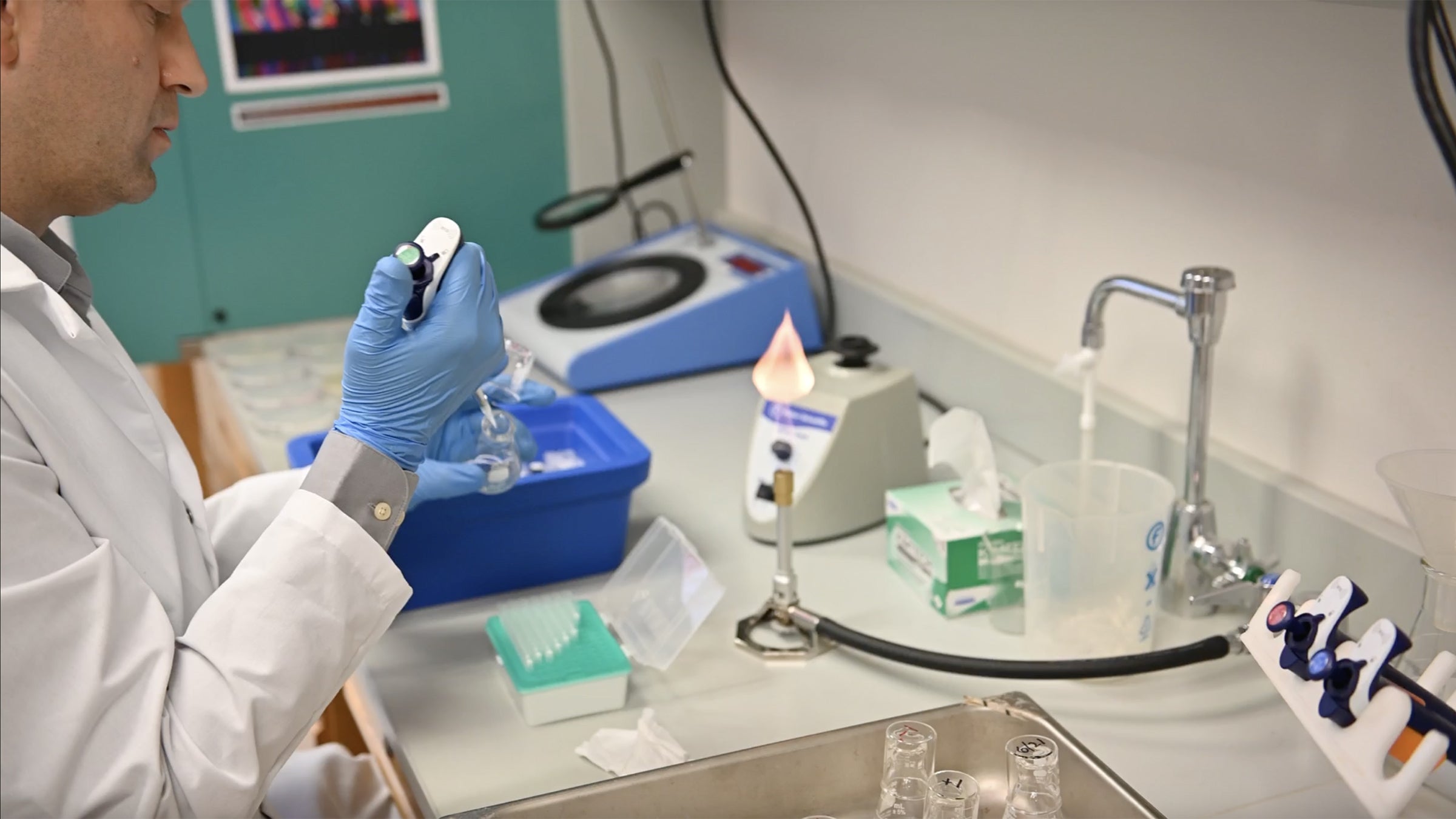 A scientist pipettes bacteria from a vial into a flask