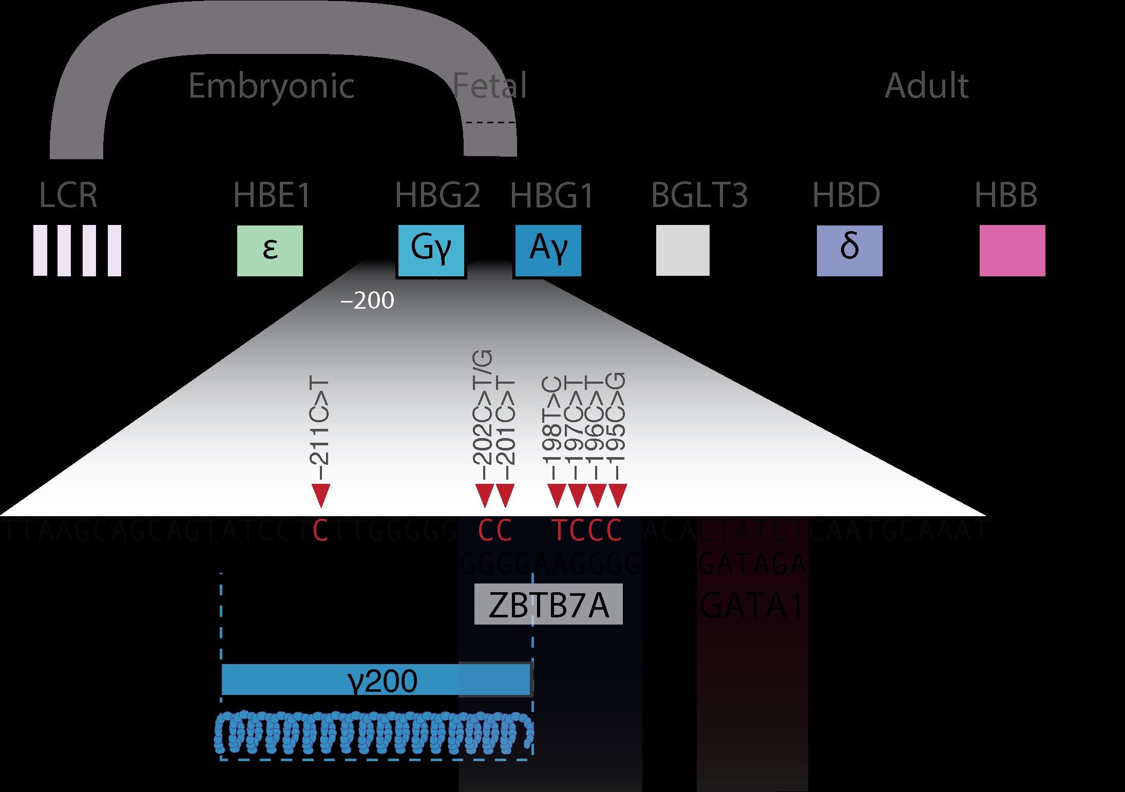 Science image
