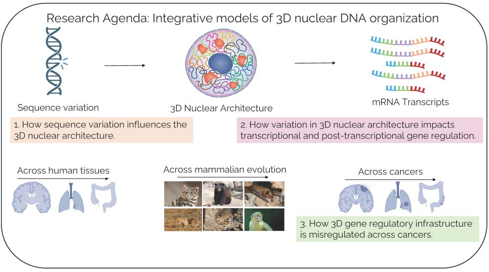 Research Image - Jha