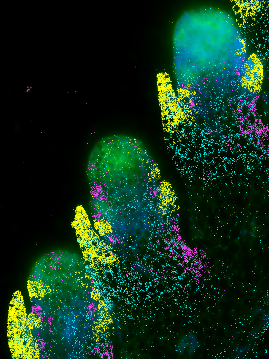 Science image