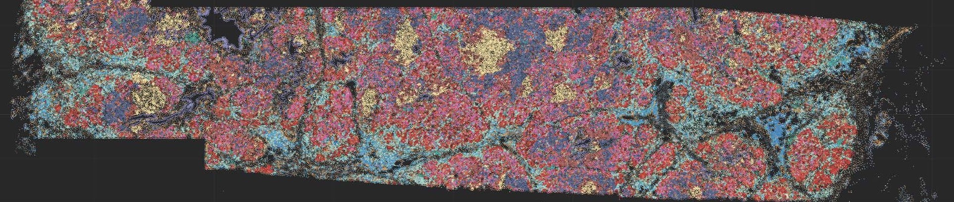 Science Image