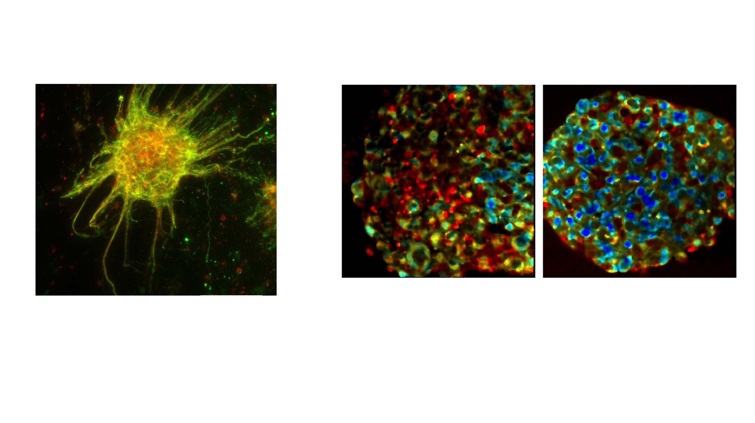 Science image